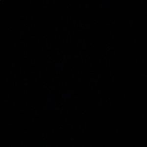 Meet your Posher, Gillian